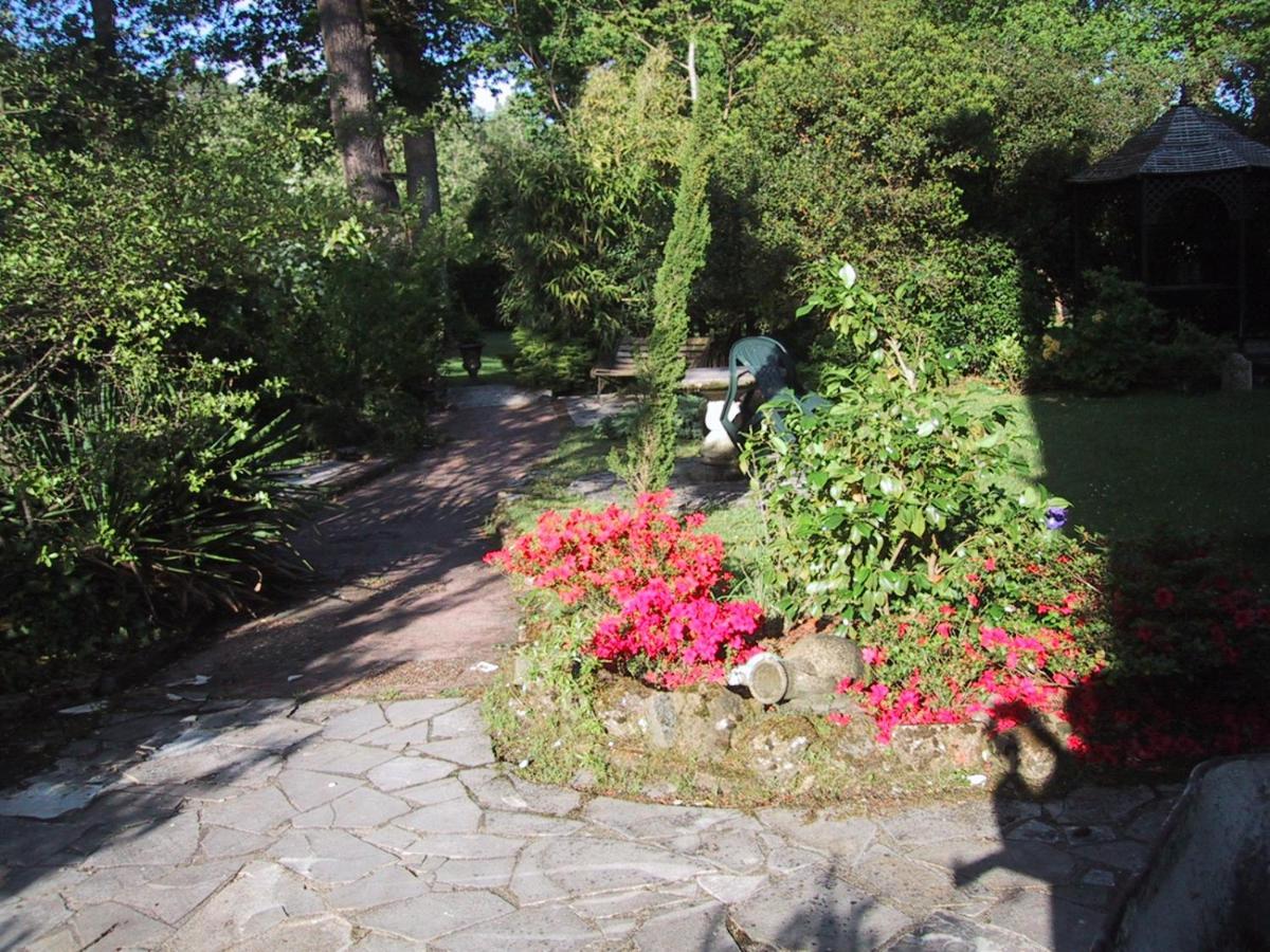 Manoir De Tireveste Bed & Breakfast Lesperon (Landes)